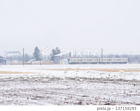 【山形線】雪原にいるハクチョウと普通列車 137158293