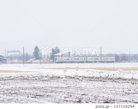 【山形線】雪原にいるハクチョウと普通列車 137158294