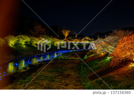 （静岡県南伊豆町）みなみの桜と菜の花まつり　ライトアップ「夜桜☆流れ星」 137158360