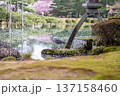 徽軫灯籠のところにいた鷺（兼六園・2020/04/11） 137158460