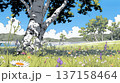 花が咲き乱れる春の野原 花が咲き乱れる春の野原 137158464