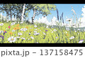 花が咲き乱れる春の野原 花が咲き乱れる春の野原 137158475