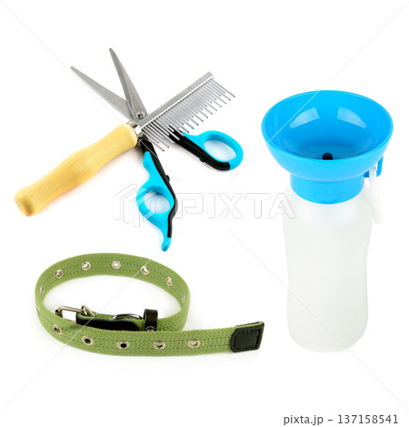 Grooming Tools and Dog Walking Gear for Professional Pet Services 137158541