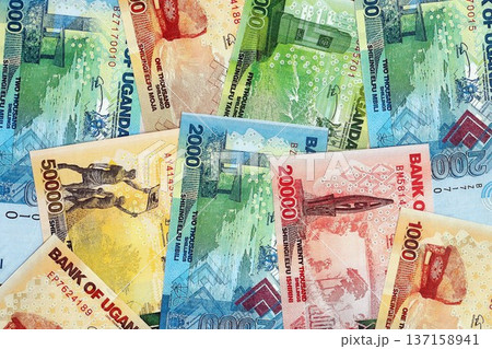 Ugandan shilling paper banknotes pile on table. Uganda UGX currency money bills in big amount. Concept of economics, taxation and banking in Uganda Ugandan shilling paper banknotes pile on table. Uganda UGX currency money bills in big amount. Concept of economics, taxation and banking in Uganda 137158941