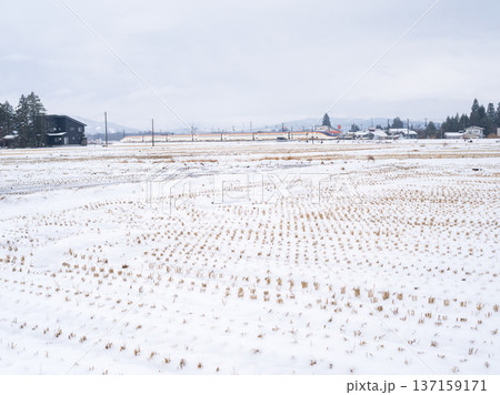 【山形線】雪原の町を駆け抜ける新幹線つばさ 137159171
