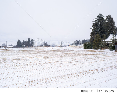 【山形線】雪原の町を駆け抜ける新幹線つばさ 【山形線】雪原の町を駆け抜ける新幹線つばさ 137159179
