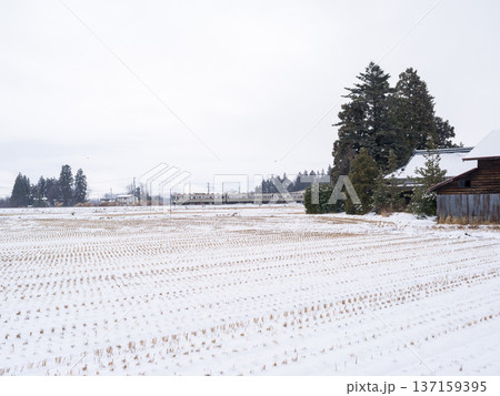 【山形線】雪原の町を駆け抜ける普通列車 【山形線】雪原の町を駆け抜ける普通列車 137159395