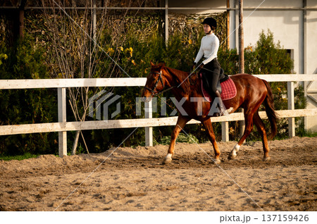 Female equestrian in black riding attire guides chestnut horse around sandy arena with wooden fence and greenery in the background during a sunny day 137159426