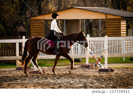 Equestrian female rider in black riding gear guides brown horse over a jump in an outdoor arena with wooden fence and stable in the background Equestrian female rider in black riding gear guides brown horse over a jump in an outdoor arena with wooden fence and stable in the background 137159431