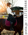 Female equestrian in black riding attire and helmet sits on brown horse with maroon saddle pad, sunlight illuminating the outdoor riding arena and wooden stable in the background 137159444