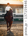 Young female equestrian in black riding gear sits on a brown horse in an outdoor arena with a rustic building and sunlight filtering through trees in the background 137159446
