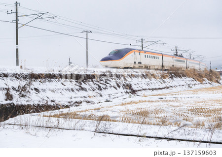 【山形線】雪風景を走行する新幹線つばさ号 【山形線】雪風景を走行する新幹線つばさ号 137159603