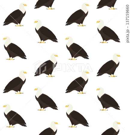Vector flat hand drawn eagle silhouette Vector flat hand drawn eagle silhouette 137159660