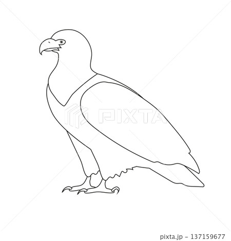 Vector flat hand drawn eagle 137159677
