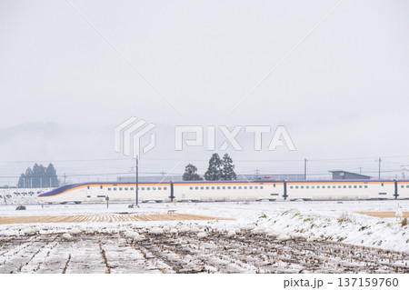 【山形線】雪原にいるハクチョウと新幹線つばさ号 137159760