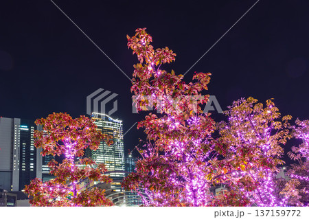 イルミネーションの渋谷宮下パーク　東京夜景 137159772