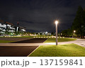 広場の夜景 137159841