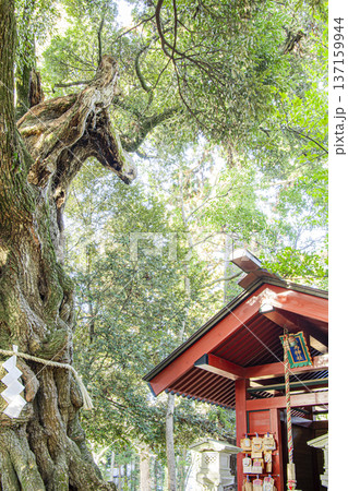 あんばさま 大杉神社 あんばさま 大杉神社 137159944
