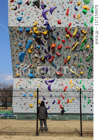 ボルダリングで壁を登る選手 137159978