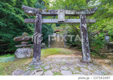 福岡県田川郡添田町今川沿いにある高木神社 福岡県田川郡添田町今川沿いにある高木神社 137161097