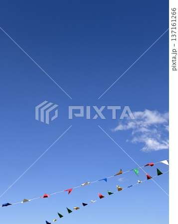 青空と旗 137161266