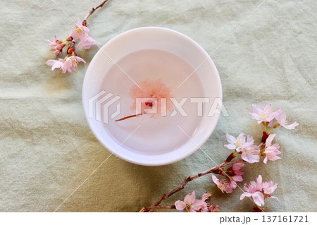 桜と桜湯・2 137161721