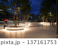 輝く夜の歩道 137161753