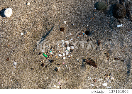 海岸に漂着したマイクロプラスチック　小笠原 137161903