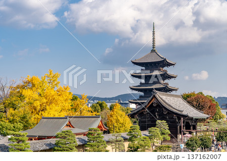 京都　紅葉の東寺　五重塔（国宝）と南大門（重要文化財） 137162007