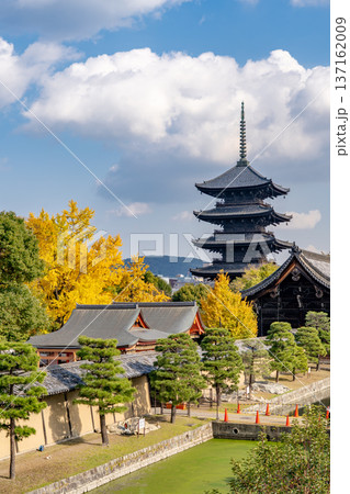 京都　紅葉の東寺　五重塔（国宝）と南大門（重要文化財） 137162009