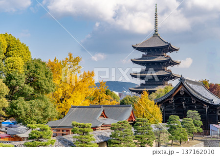 京都　紅葉の東寺　五重塔（国宝）と南大門（重要文化財） 137162010