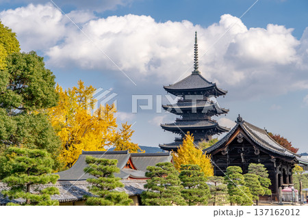 京都　紅葉の東寺　五重塔（国宝）と南大門（重要文化財） 137162012