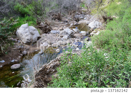 Arizona Desert Creek Arizona Desert Creek 137162142