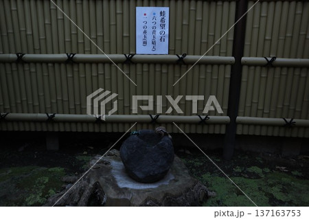 高円寺氷川神社 137163753