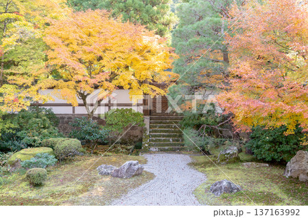 京都　東山泉涌寺（皇室の菩提寺）　御座所庭園　紅葉　枯山水のもみじ 137163992