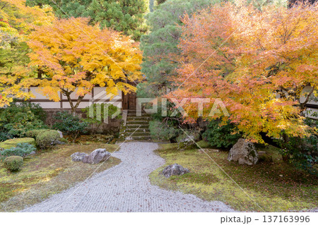 京都　東山泉涌寺（皇室の菩提寺）　御座所庭園　紅葉　枯山水のもみじ 137163996