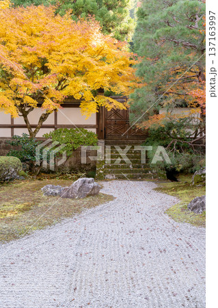 京都　東山泉涌寺（皇室の菩提寺）　御座所庭園　紅葉　枯山水のもみじ 137163997