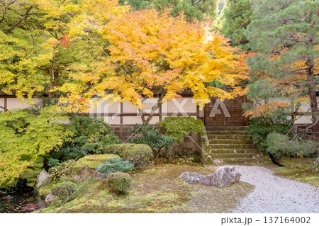 京都　東山泉涌寺（皇室の菩提寺）　御座所庭園　紅葉　枯山水のもみじ 137164002