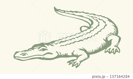 Vector drawing. The crocodile lies on the ground Vector drawing. The crocodile lies on the ground 137164284