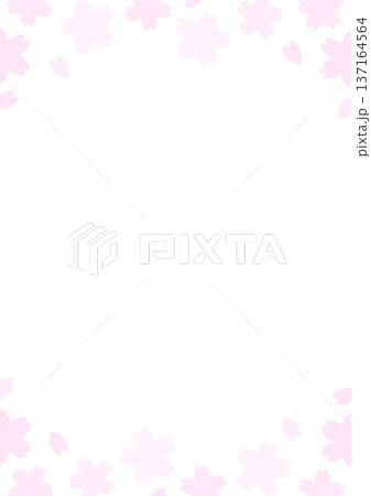 縦の背景 桜の花の枠 白背景 縦の背景 桜の花の枠 白背景 137164564