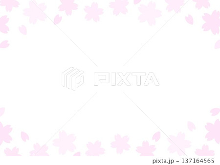 背景 桜の花の枠 白背景 背景 桜の花の枠 白背景 137164565
