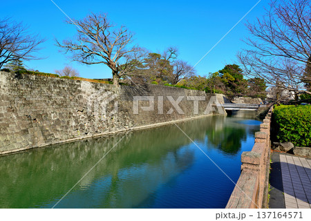 静岡県　駿府城の風景 137164571