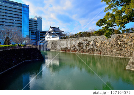 静岡県　駿府城の風景 137164573