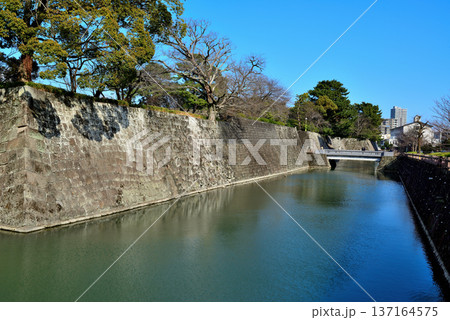 静岡県 駿府城の風景 静岡県 駿府城の風景 137164575