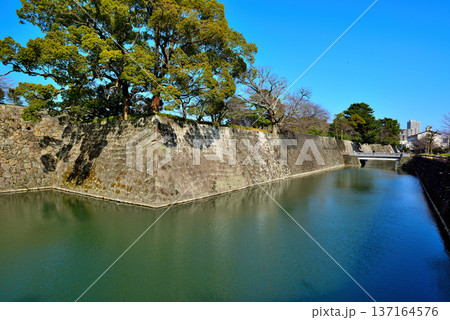 静岡県 駿府城の風景 静岡県 駿府城の風景 137164576