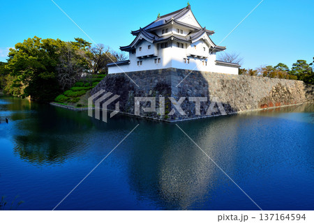 静岡県 駿府城の風景 静岡県 駿府城の風景 137164594