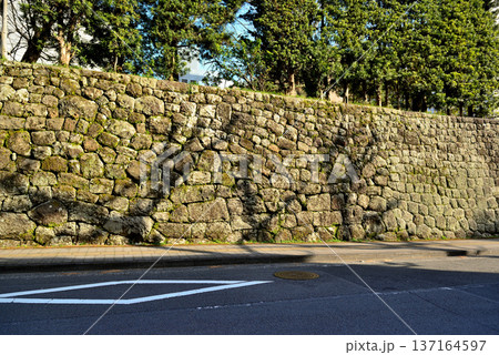 静岡県 駿府城の風景 静岡県 駿府城の風景 137164597