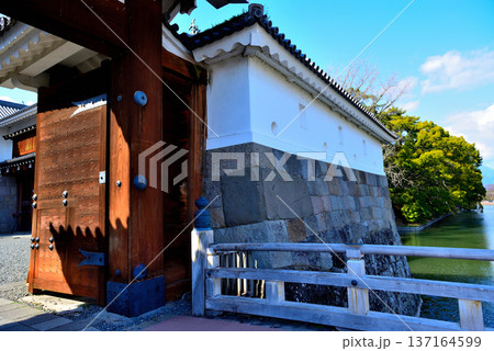 静岡県 駿府城の風景 静岡県 駿府城の風景 137164599