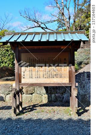 静岡県　駿府城の風景 137164603