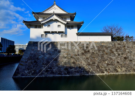 静岡県　駿府城の風景 137164608